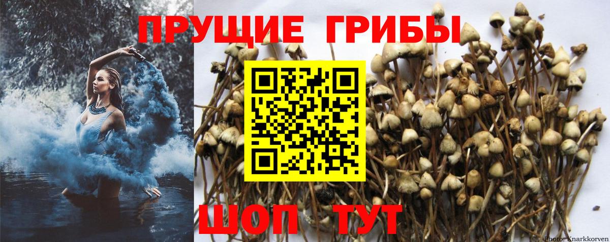 Галлюциногенные грибы мицелий Ялуторовск