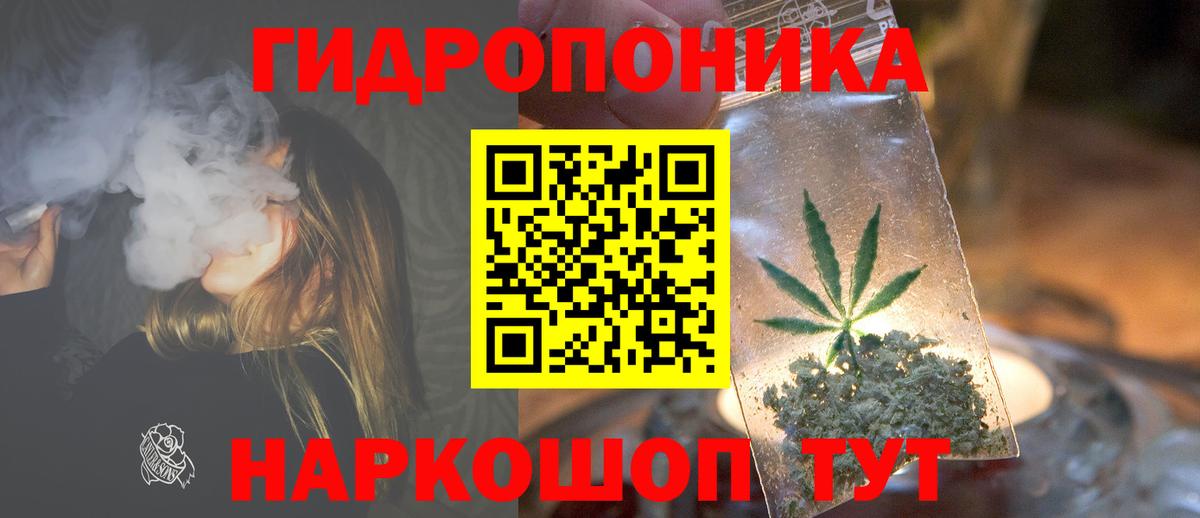 Бошки Шишки конопля  Канабис гибрид  Ялуторовск  Вход с VPN  Канабис VHQ  Конопля тримм 